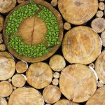 Happy, Healthy, and Green: The Green Building Movement